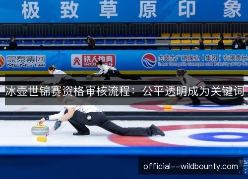 冰壶世锦赛资格审核流程:公平透明成为关键词 冰壶世锦赛资格审核流程:公平透明成为关键词